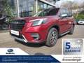 Subaru Forester 2.0ie Active Mild Hybrid Rot - thumbnail 1