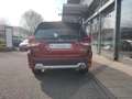 Subaru Forester 2.0ie Active Mild Hybrid Rot - thumbnail 6