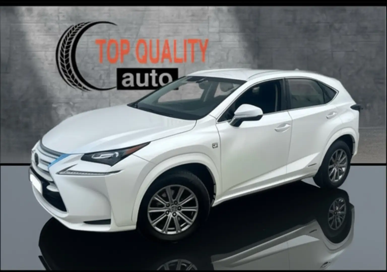 Lexus NX 300 300h Corporate 2WD + Navibox Weiß - 1