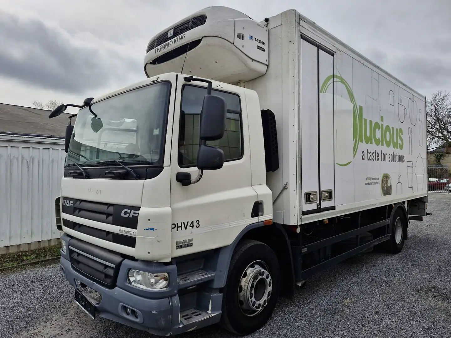 DAF CF75.250 White - 1