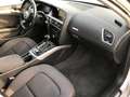 Audi A4 Avant 2.0 TDI 150 CV multitronic Advanced Grigio - thumbnail 11