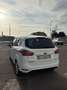 Ford B-Max 1.0 ecoboost 100cv Titanium Bianco - thumbnail 14