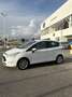 Ford B-Max 1.0 ecoboost 100cv Titanium Bianco - thumbnail 15