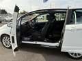 Ford B-Max 1.0 ecoboost 100cv Titanium Bianco - thumbnail 8