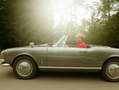 Alfa Romeo Spider Alfa Romeo Giulia Spider 1600 Grau - thumbnail 16