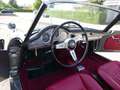 Alfa Romeo Spider Alfa Romeo Giulia Spider 1600 Grau - thumbnail 43