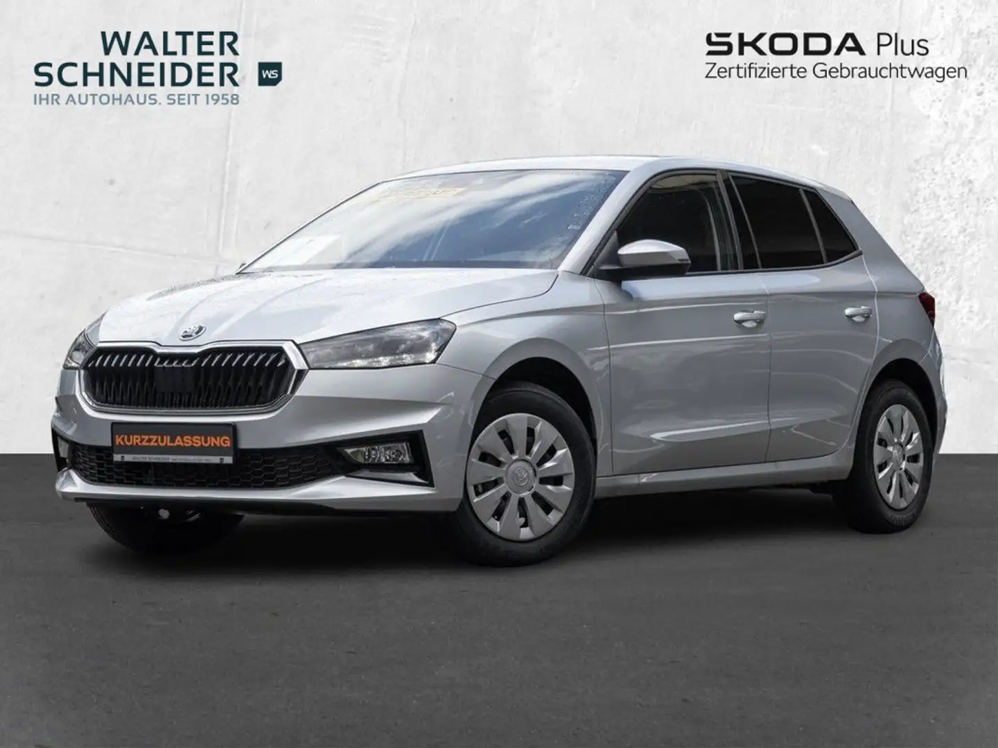 Skoda Fabia 1,0 TSI 95 PS Selection Sitzheizung Klima Grau - 2