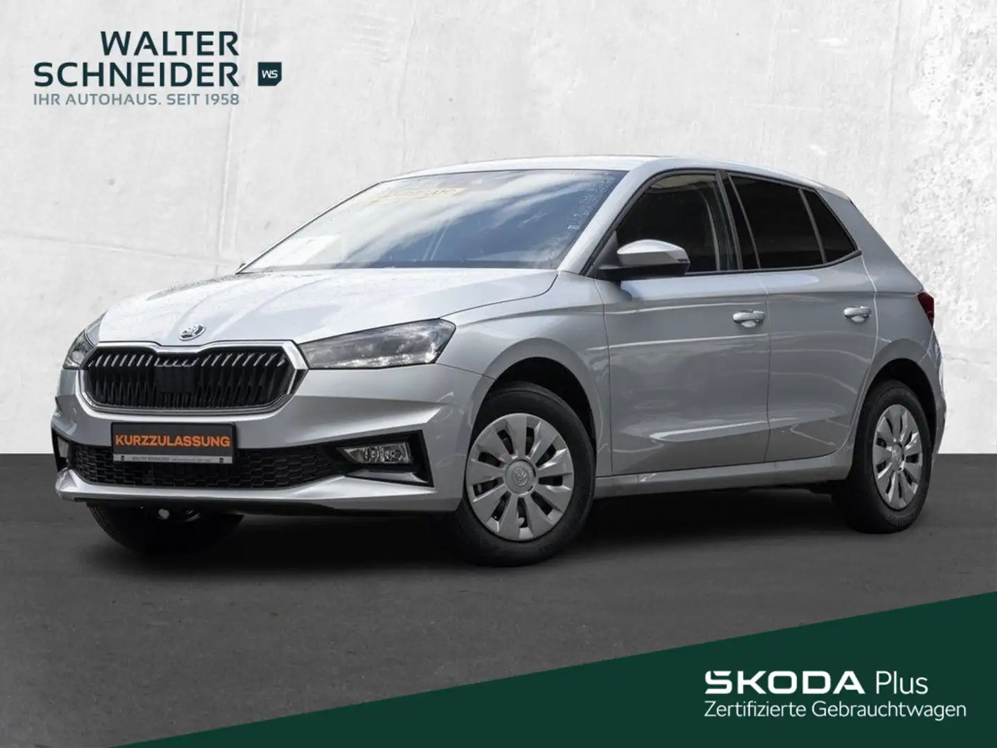 Skoda Fabia 1,0 TSI 95 PS Selection Sitzheizung Klima Grau - 1