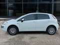 Fiat Punto Evo 1.4 natural power Emotion 70cv Weiß - thumbnail 5