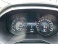 Ford Edge 2.0 l Bi-Turbo Sport 4x4 Autom. AHK STANDHEIZUNG S Negro - thumbnail 18