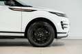 Land Rover Range Rover Evoque 2ª serie 2.0D I4 163 CV R-Dynamic S Bianco - thumbnail 8