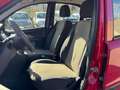 Fiat Panda Panda 1.2 Dynamic Gpl Rouge - thumbnail 12