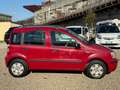 Fiat Panda Panda 1.2 Dynamic Gpl Rouge - thumbnail 4