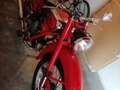Moto Guzzi Airone astorino 250 Czerwony - thumbnail 2