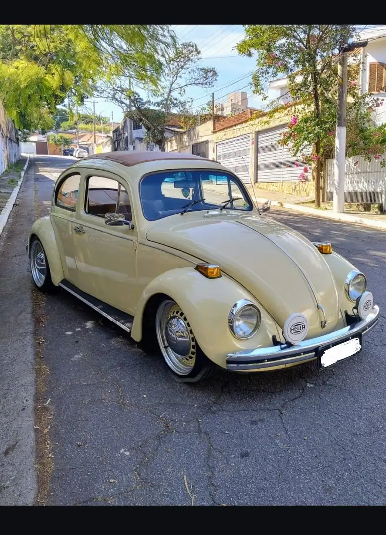 Oldtimer Volkswagen Coccinelle - 2
