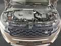 Land Rover Range Rover Evoque D200 R-Dynamic SE Braun - thumbnail 11