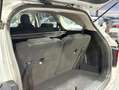 Kia Sorento 1.6 TGDi HEV Drive 4x2 7pl Plateado - thumbnail 34