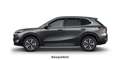 Geely Starray EM-i MAX+ PHEV E.Heck Pano HUD PDC V+h Grau - thumbnail 2