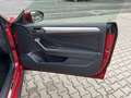 Volkswagen T-Roc Cabriolet 1.5 TSI Move + Navi Discover + Anhängerk Rouge - thumbnail 29