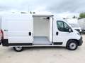 Fiat Ducato Fg. 30 2.2Mjt L2 H2 Panelado 120CV Blanco - thumbnail 3