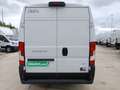 Fiat Ducato Fg. 30 2.2Mjt L2 H2 Panelado 120CV Blanco - thumbnail 7
