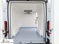 Fiat Ducato Fg. 30 2.2Mjt L2 H2 Panelado 120CV Blanco - thumbnail 1