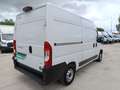 Fiat Ducato Fg. 30 2.2Mjt L2 H2 Panelado 120CV Blanco - thumbnail 6