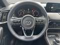 Mazda CX-60 3.3L e-SKYACTIV D AWD HOMURA PLUS Aut. Blau - thumbnail 10