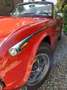 Triumph TR5 TR250 met overdrive Roşu - thumbnail 10