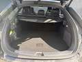 BYD Sealion 7 Excellence AWD Weiß - thumbnail 19
