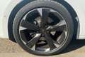 CUPRA Leon Leon 2.0 TDI 150 CV DSG Weiß - thumbnail 11