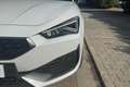 CUPRA Leon Leon 2.0 TDI 150 CV DSG Weiß - thumbnail 9