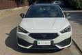 CUPRA Leon Leon 2.0 TDI 150 CV DSG Weiß - thumbnail 2