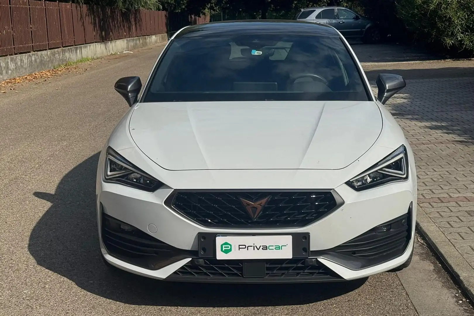 CUPRA Leon Leon 2.0 TDI 150 CV DSG Blanc - 2