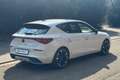 CUPRA Leon Leon 2.0 TDI 150 CV DSG Weiß - thumbnail 5