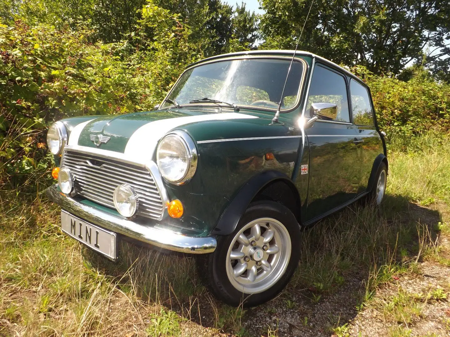 MINI 1000 / Mini MK II Verde - 1