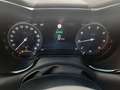 Alfa Romeo Tonale 1.5 MHEV Speciale FWD Gris - thumbnail 9