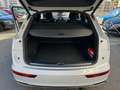 Audi Q5 Q5 40 2.0 tdi S line Plus quattro 190cv s-tronic Blanc - thumbnail 17