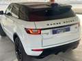 Land Rover Range Rover Evoque 5p 2.0  HSE Dynamic 180cv auto FULL!!! Bianco - thumbnail 6