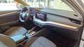 Skoda Octavia *AHK/LED/ACC/VIRTUELL-COCKPIT/NAV/KAMERA/SPURH/* Grau - thumbnail 13