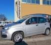 Fiat New Panda 1,2 easy benzina neopatentato euro 6b clima cd Argento - thumbnail 1