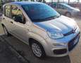 Fiat New Panda 1,2 easy benzina neopatentato euro 6b clima cd Argento - thumbnail 7