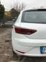 SEAT Leon 5p 1.4 tgi Business High s&s 110cv dsg Bianco - thumbnail 4