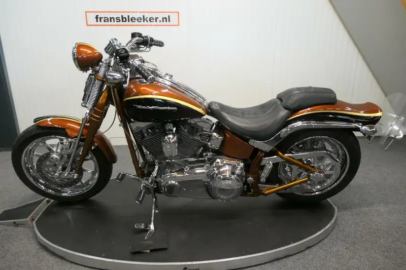 Harley-Davidson 110 cu screaming - foto 6