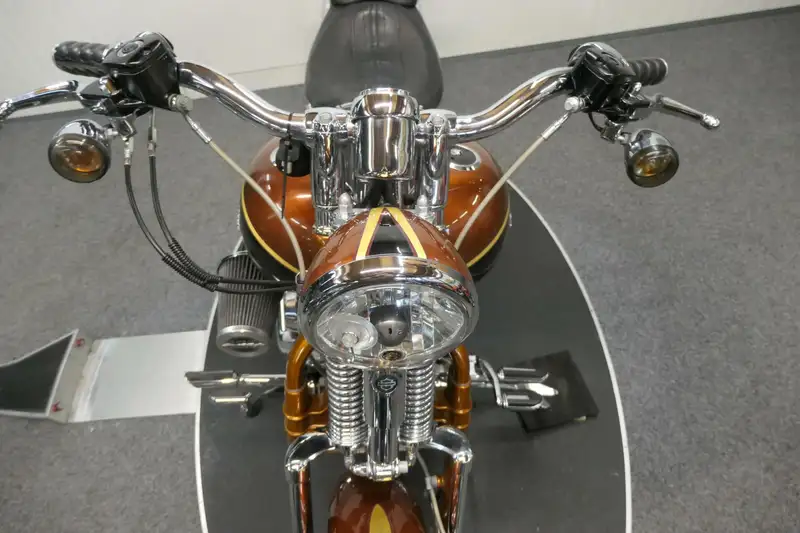 Harley-Davidson 110 cu screaming - foto 4