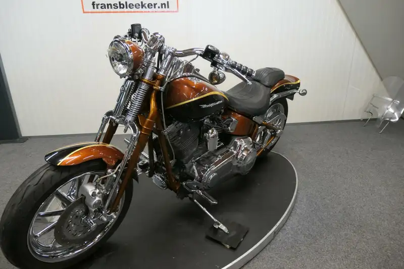 Harley-Davidson 110 cu screaming - foto 5