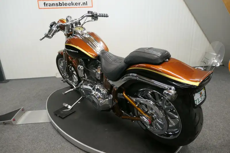Harley-Davidson 110 cu screaming - foto 7