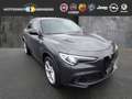 Alfa Romeo Stelvio Quadrifoglio 2.9 V6 Bi-Turbo  Q4 AT8 Grijs - thumbnail 1