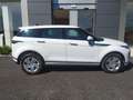 Land Rover Range Rover Evoque EVOQUE S AUTOCARRO Bianco - thumbnail 6