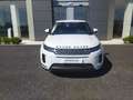 Land Rover Range Rover Evoque EVOQUE S AUTOCARRO Bianco - thumbnail 8